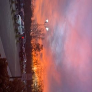 Meet your Posher, Bella